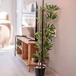 Lägenhet Modern 2Br City Center Bliss Stay *